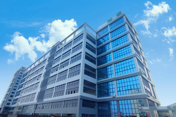 تاريخ أنك في صوفي